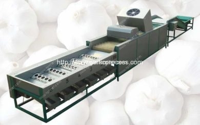 automatic-garlic-dry-cleaning-and-sorting-grading-machine