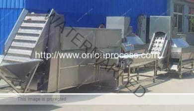 Full-Automatic-Onion-Washing-Peeling-and-Root-Cutting-Line-Manufacture-and-Supplier