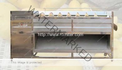 Screw-Feeding-Type-Potato-Washing-Peeling-Machine-Manufacture