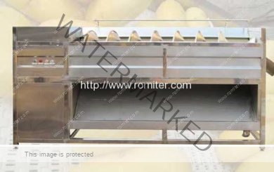 Screw-Feeding-Type-Potato-Washing-Peeling-Machine-Manufacture