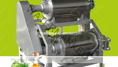 Automatic-Banana-Pulping-Machine-for-Sale