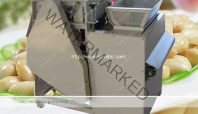 Automatic-Wet-Type-Peanut-Peeling-Machine