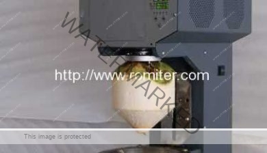 Automatic-Coconut-Peeling-Machine-for-Sale