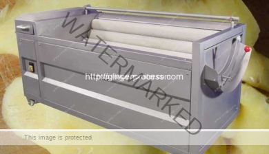 Brush-Type-Ginger-Washing-Peeling-Machine-for-Sale