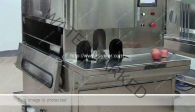 Automatic-Fruit-Peeling-and-Double-End-Cutting-Machine-for-Sale