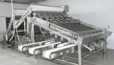 Automatic-Shrimp-Washing-Grading-Sorting-Machine-for-Sale