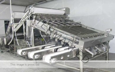 Automatic-Shrimp-Washing-Grading-Sorting-Machine-for-Sale