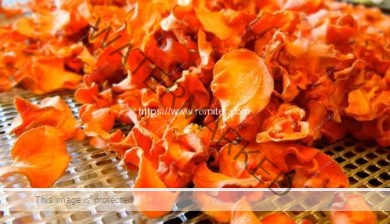 Dehydrated-Carrot-Chips