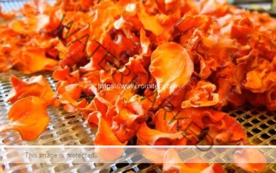 Dehydrated-Carrot-Chips