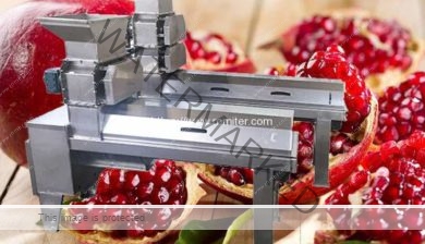 Automatic-Pomegranate-Peeling-Machine