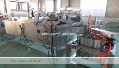 Full-Automatic-French-Fries-Frying-Machine-and-Oil-Removing-Machine-Manufacture-and-Supplier-Romiter