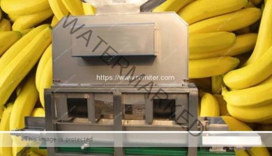 Ripe-Yellow-Banana-Peeling-and-Juicer-Making-MachineRipe-Yellow-Banana-Peeling-and-Juicer-Making-Machine