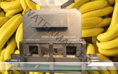 Ripe-Yellow-Banana-Peeling-and-Juicer-Making-MachineRipe-Yellow-Banana-Peeling-and-Juicer-Making-Machine