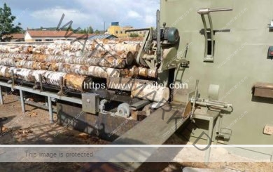 Wood-Log-Auto-Feeding-Sawing-Cutting-Machine