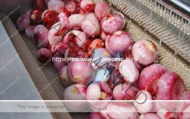 Brush-Type-Onion-Washing-Peeling-Machine