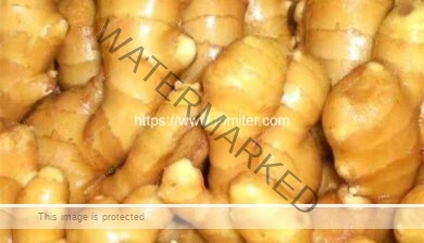 Integrated-Type-Ginger-Water-Washing-Cleaning-Machine